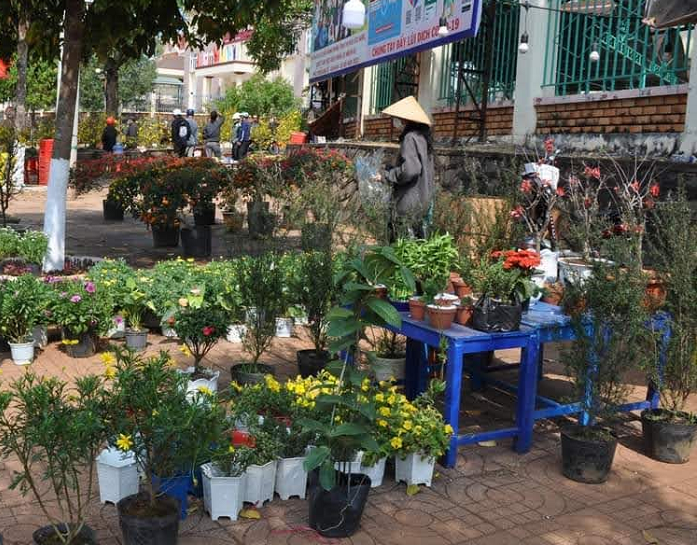 Quy hoach diem trung bay va ban hoa Tet Nguyen dan 2023